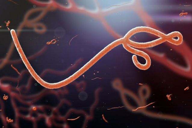 Симптомы Эбола