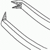 Пинцет для верхней прямой мышцы по Лейдхеккеру F-4621