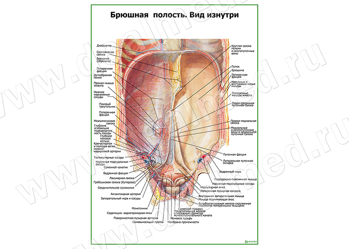 Фото Вид Изнутри