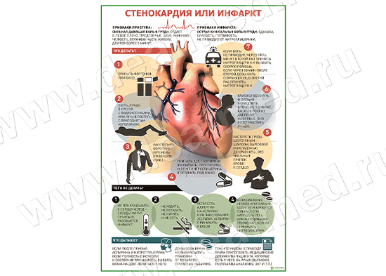  Стенокардия или инфаркт плакат матовый/ламинированный А1/А2 