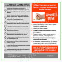 10 достоверных фактов о курении плакат матовый/ламинированный А1/А2