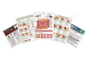 Комплект плакатов для кабинета дерматовенеролога матовый/ламинированный А1/А2