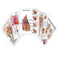 Комплект плакатов для кабинета кардиолога матовый/ламинированный А1/А2