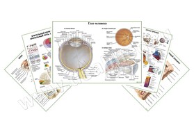 Комплект плакатов для кабинета офтальмолога матовый/ламинированный А1/А2