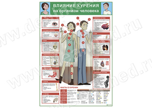 Влияние курения на организм человека плакат матовый/ламинированный А1/А2